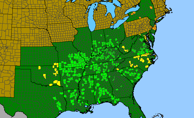 The range of Desmodium pauciflorum